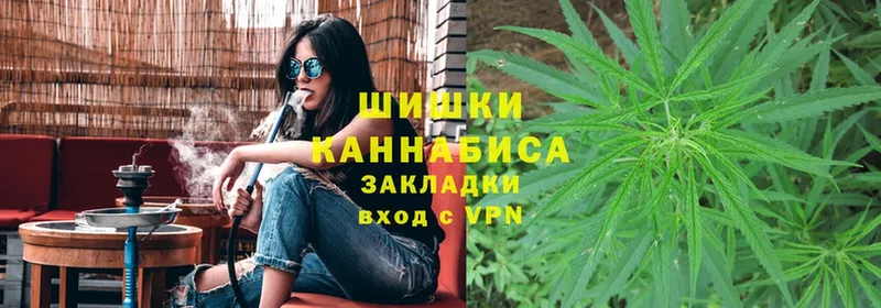 где продают наркотики  Черногорск  Конопля SATIVA & INDICA 